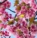 記事：令和4年3月21日
