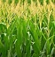 記事：令和4年11月23日