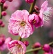 記事：令和5年5月22日